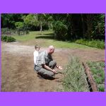 Catching Butterflies.jpg